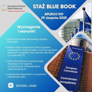 staż blue book